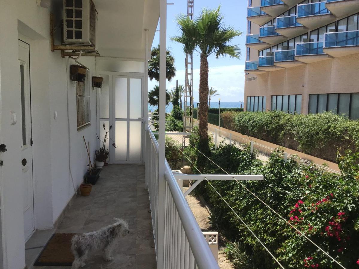 Carpe Diem Apartment El Albir Luaran gambar